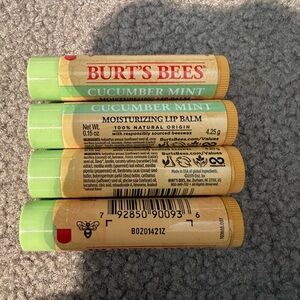 Burt's Bees 4 Pk cucumber mint moisturizing natural lip balm